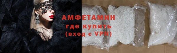 прущие грибы Балабаново