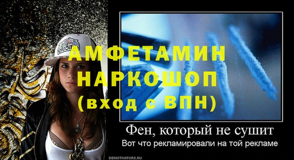 сатива Балахна