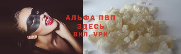 сатива Балахна