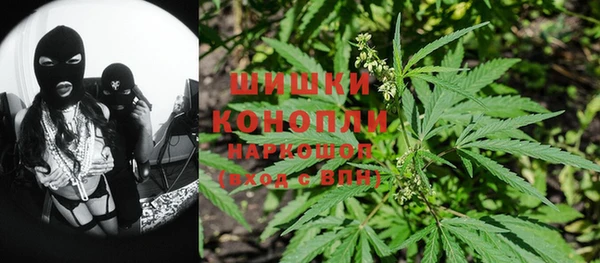прущие грибы Балабаново
