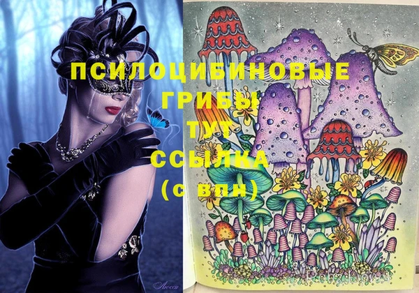 сатива Балахна