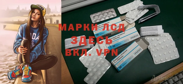сатива Балахна
