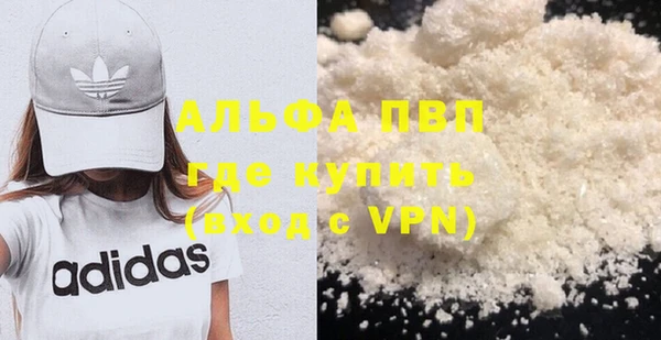 прущие грибы Балабаново