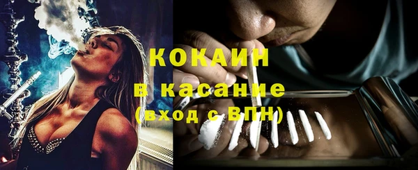 прущие грибы Балабаново