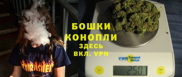 сатива Балахна